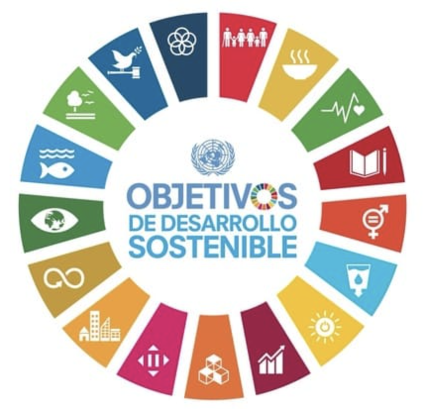 Objetivos de Desarrollo Sostenible - ODS | Asociación Visión Social
